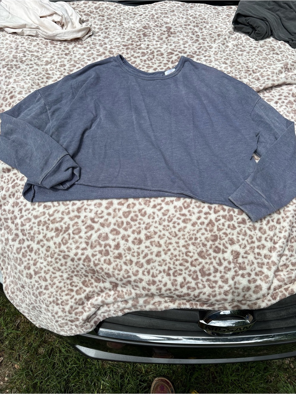 Colsie Size XL Cropped Boxy Crewneck Sweatshirt in Dusty Blue